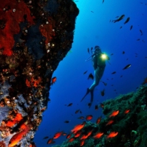 esperienze di subacquea, idee regalo per chi ama il mare, regali per lui